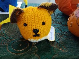 b_1024_768_0_00_images_2023_2024_Pociask_dyniowy_konkurs_410632401_821000499827900_8635873884636477157_n